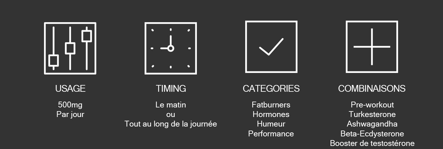 Comment-utiliser-l'extrait-de-shilajit