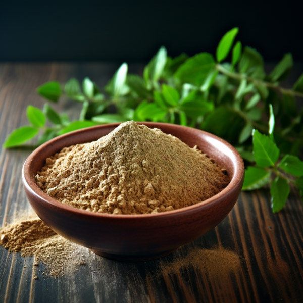 L-theanine-powder-green-tea-leaf-extract